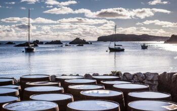 Whisky Casks and Capital Gains