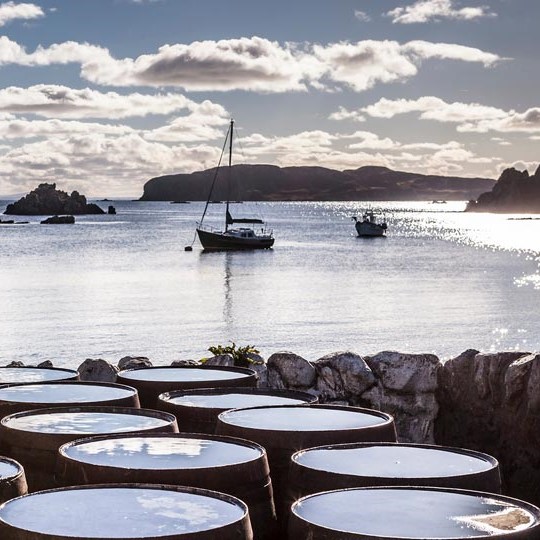 Casks-on-a-Coastline - Copy