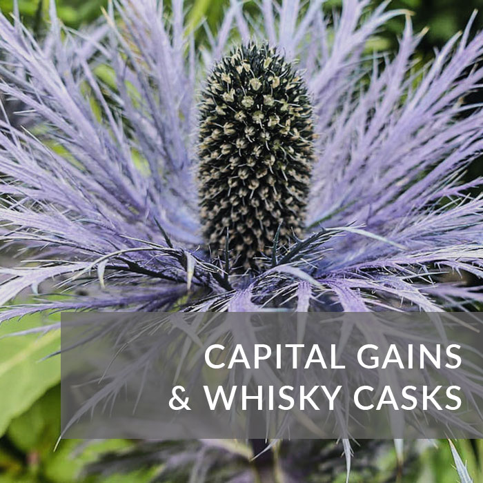 Button to navigate to the blog about capital gains and whisky casks