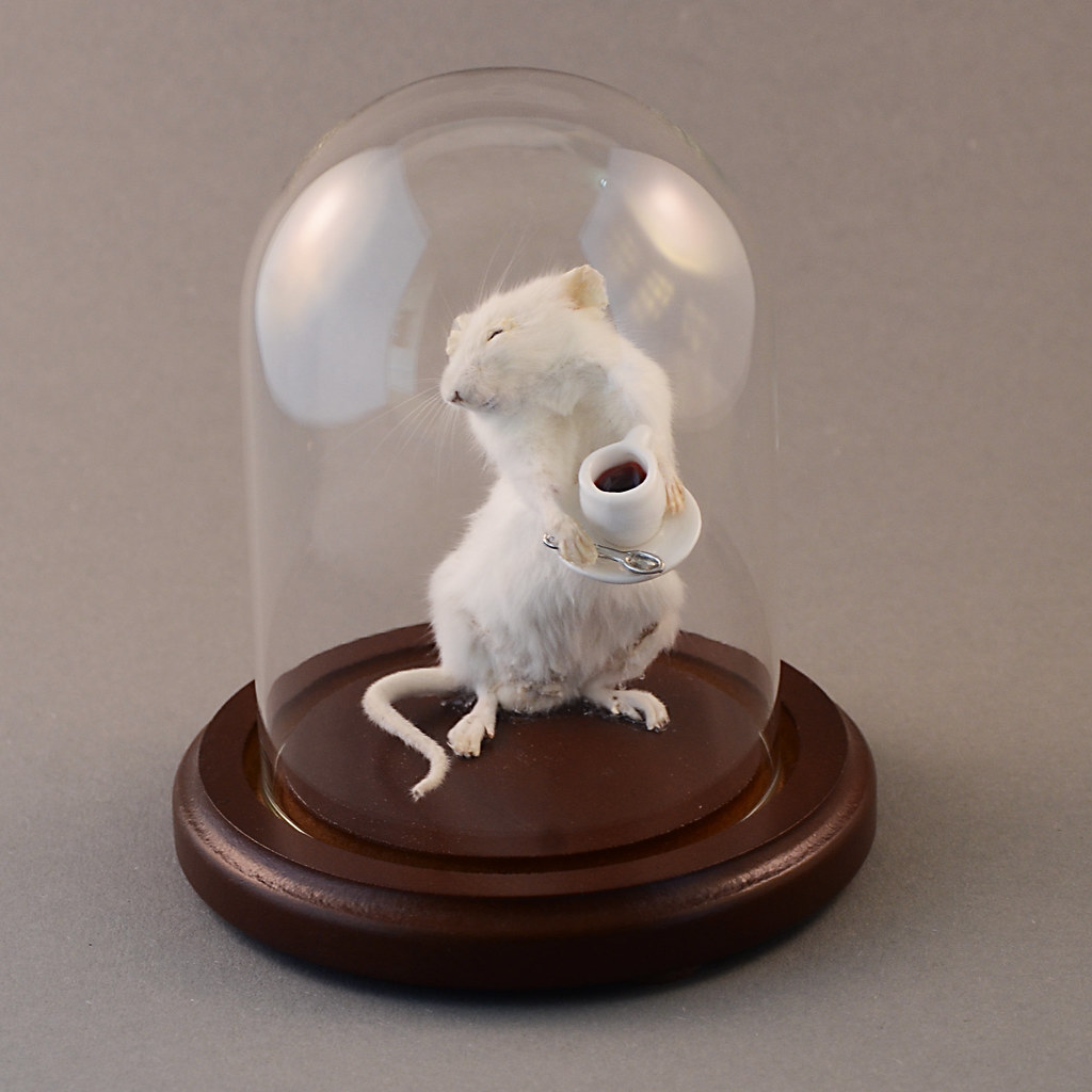 taxidermy 3 A taxidermy mouse holding a cup of coffee