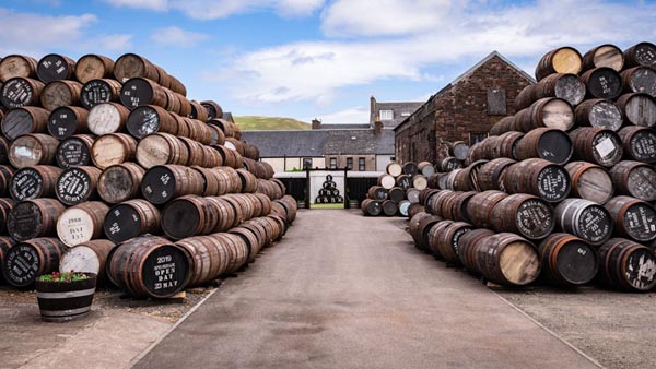 Strategic-Cask-Investment-Macallan Strategic-Cask-Investment-Macallan
