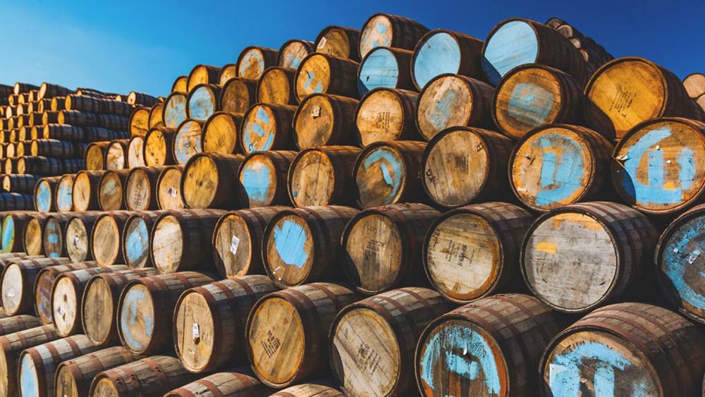 Are Whisky Barrels A Good Investment? An Investment Guide