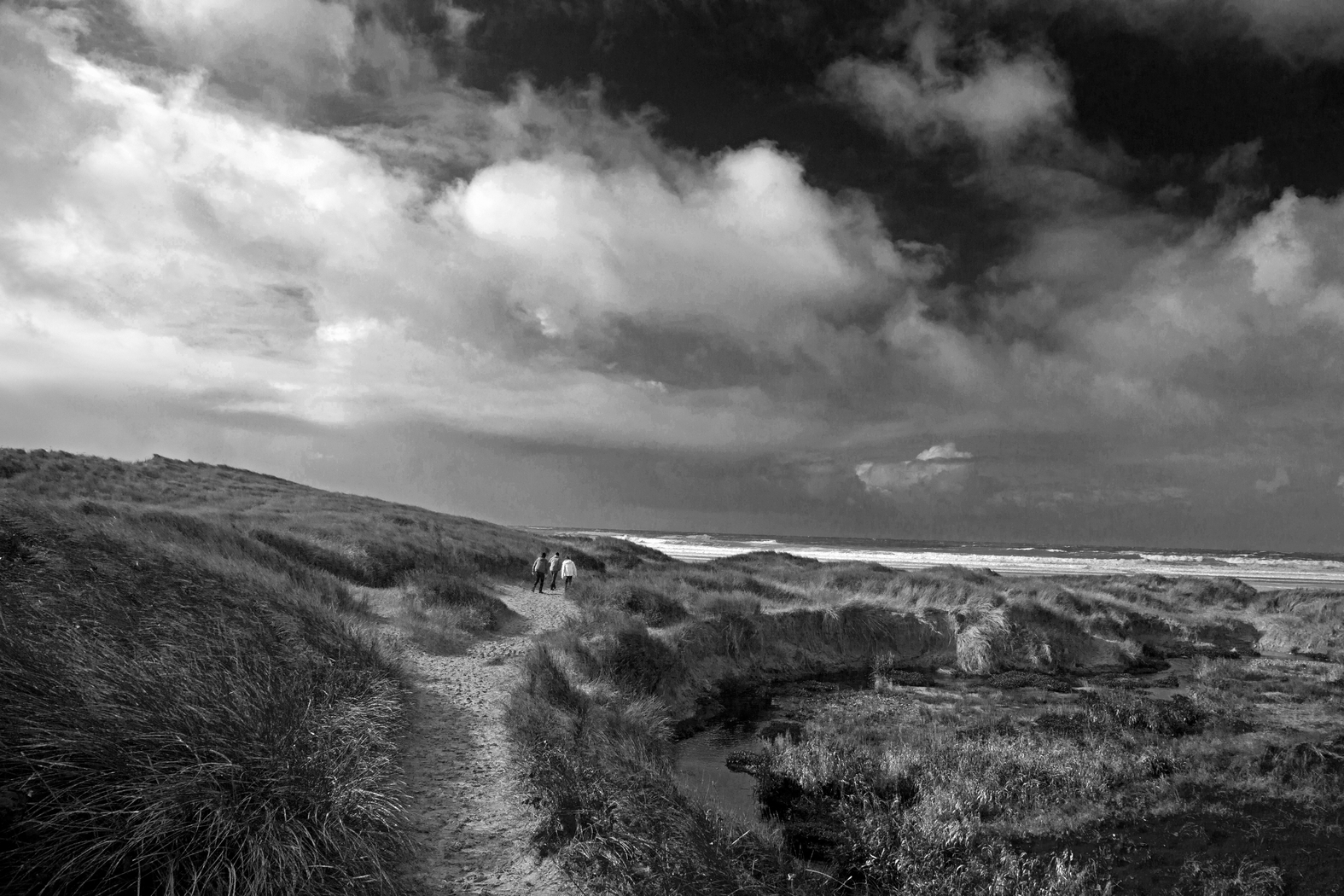 islay-Isle-of-Islay-Kilkoman-scotland-whisky-landscape-1599650-pxhere.com As long as you are a private individual you do not need a WOWGR to get a delivery order.