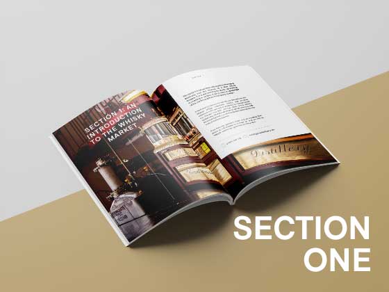 Section-One-Whisky-Investment-Guieds