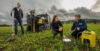 Diageo-Regenerative-Agriculture-Programme