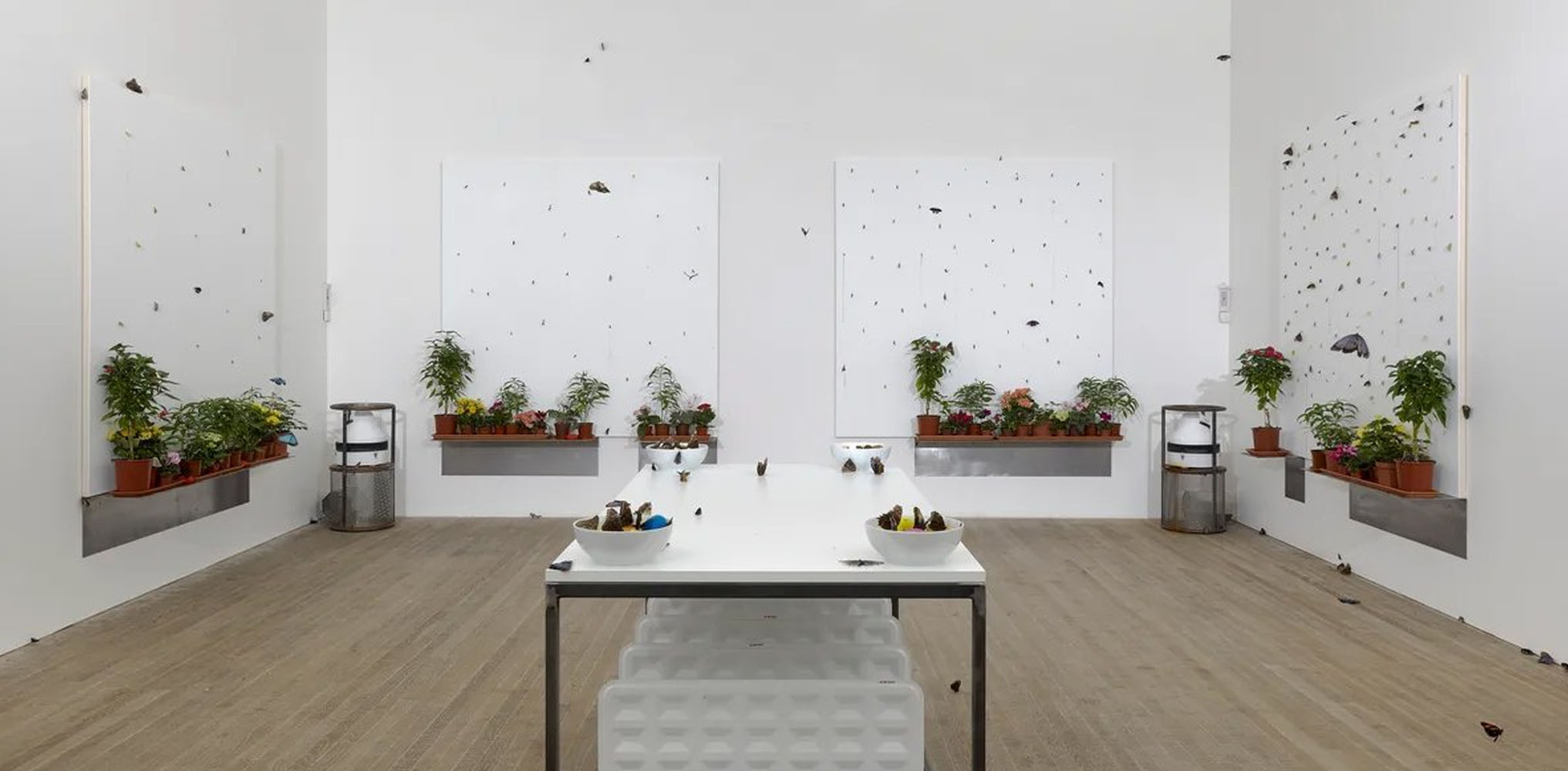 Butterflies Damien Hirst - In and Out of Love