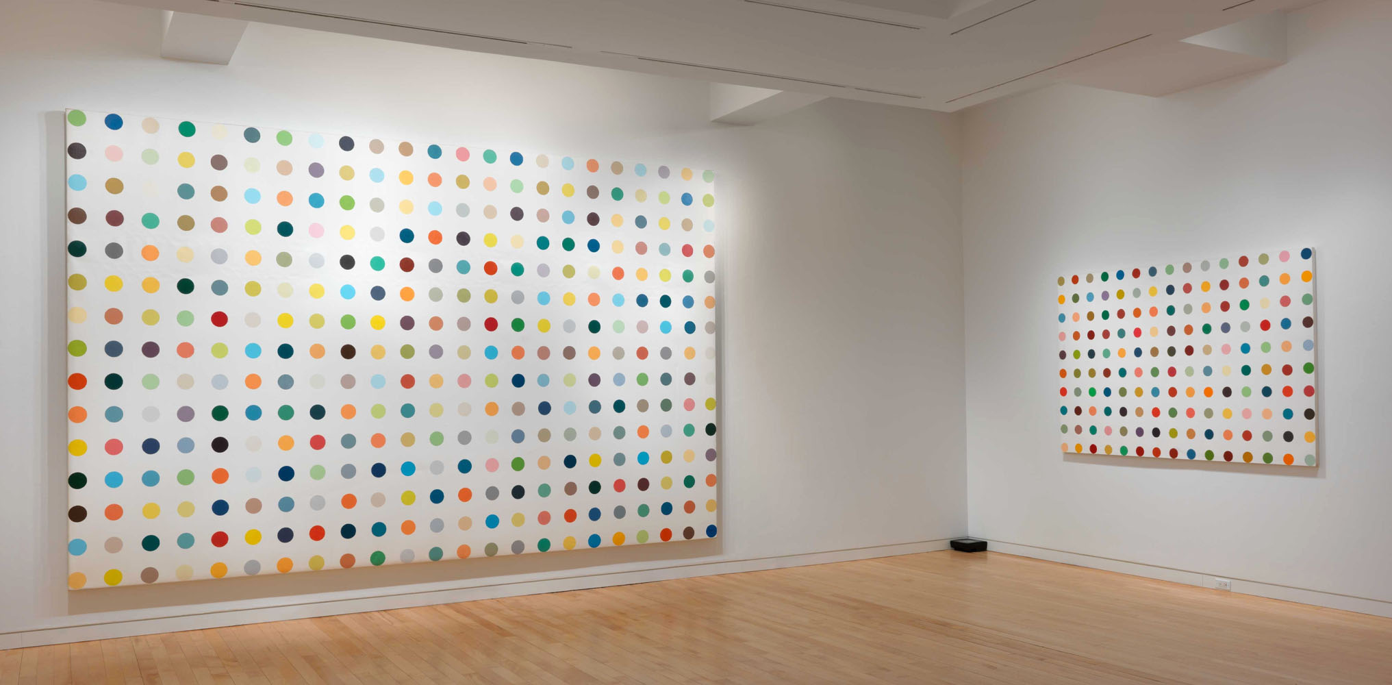 Spot Painting Damien Hirst Spot Paintings