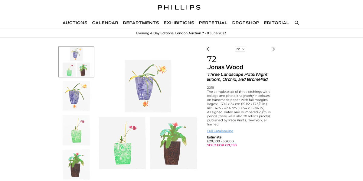 Landscape Pots: Night Bloom, Orchid and Bromeliad sold by Lama in 2022