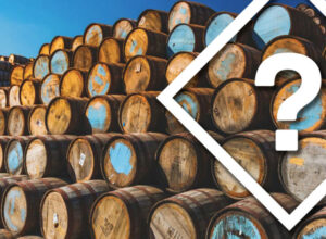 Barrel Investment 2025