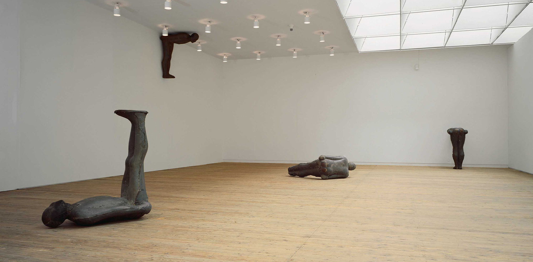 Antony Gormley - "Testing a World View"
