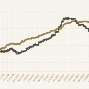Whisky Investment Returns